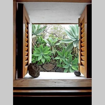 Casa Agave 1 Willa Jerez de la Jerez de la Frontera Zewnętrze zdjęcie