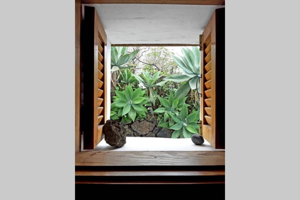 Casa Agave 1 Willa Jerez de la Jerez de la Frontera Zewnętrze zdjęcie