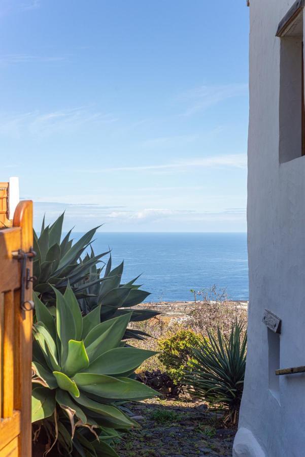 Casa Agave 1 Willa Jerez de la Jerez de la Frontera Zewnętrze zdjęcie