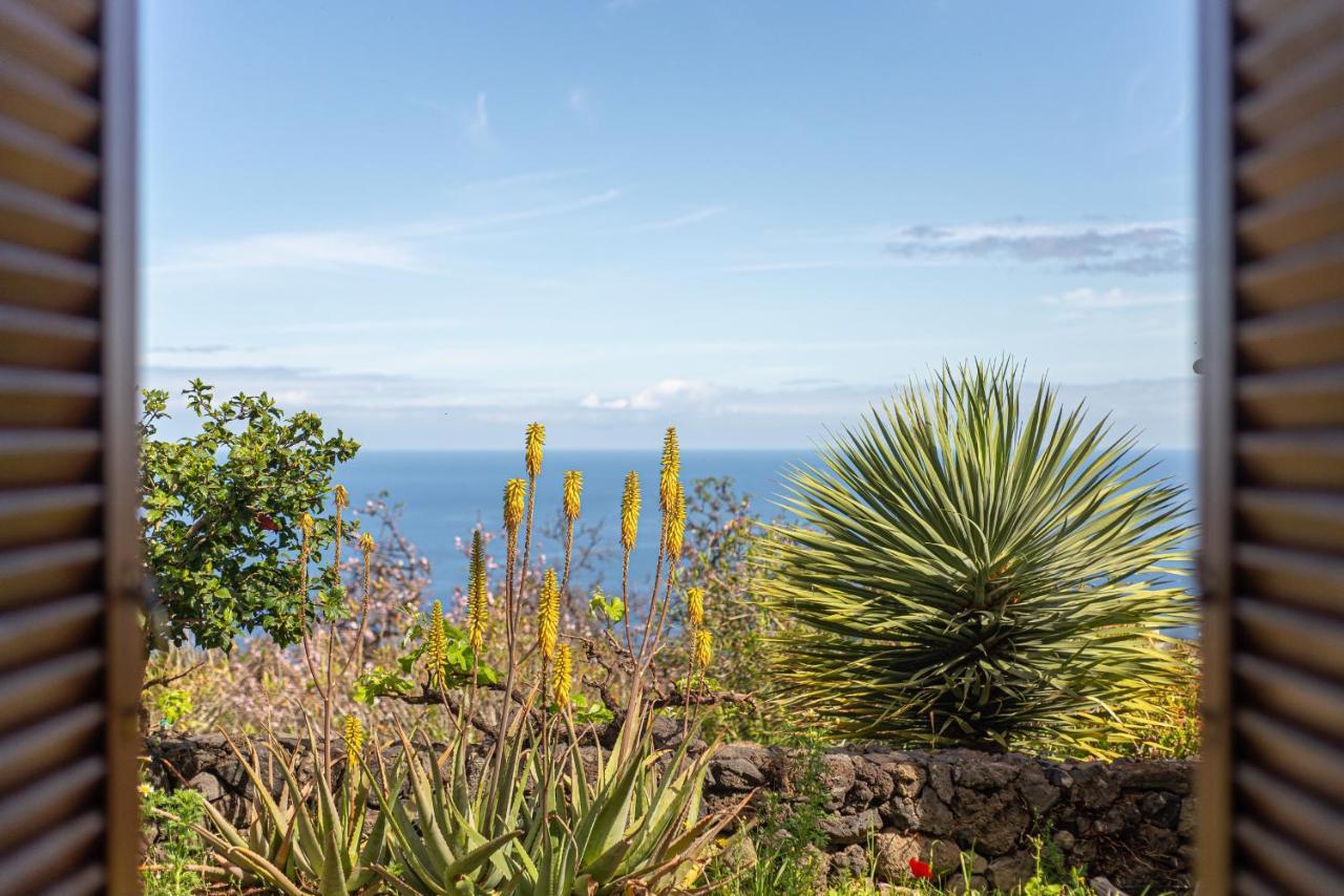 Casa Agave 1 Willa Jerez de la Jerez de la Frontera Zewnętrze zdjęcie